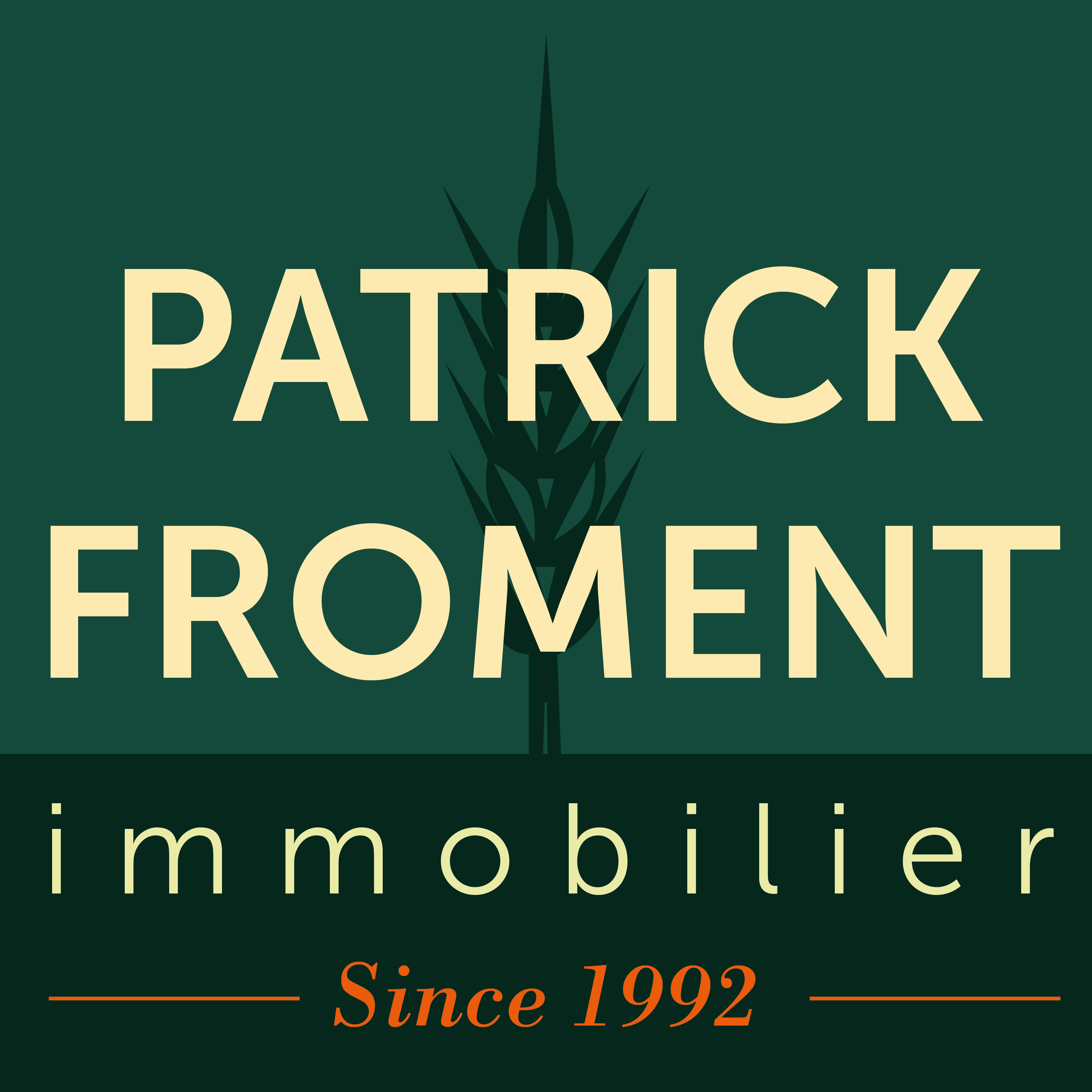 Logo Patrick Froment Immobilier Srl.